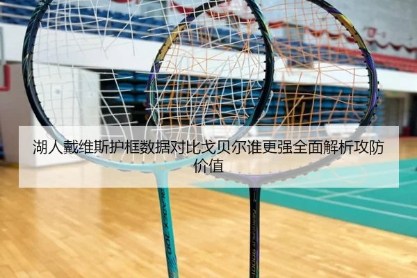 湖人戴维斯护框数据对比戈贝尔谁更强全面解析攻防价值